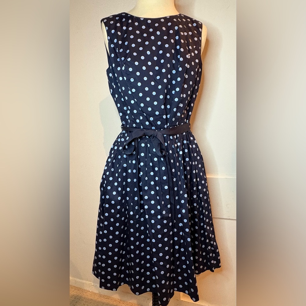 Charter Club blue polka dot dress